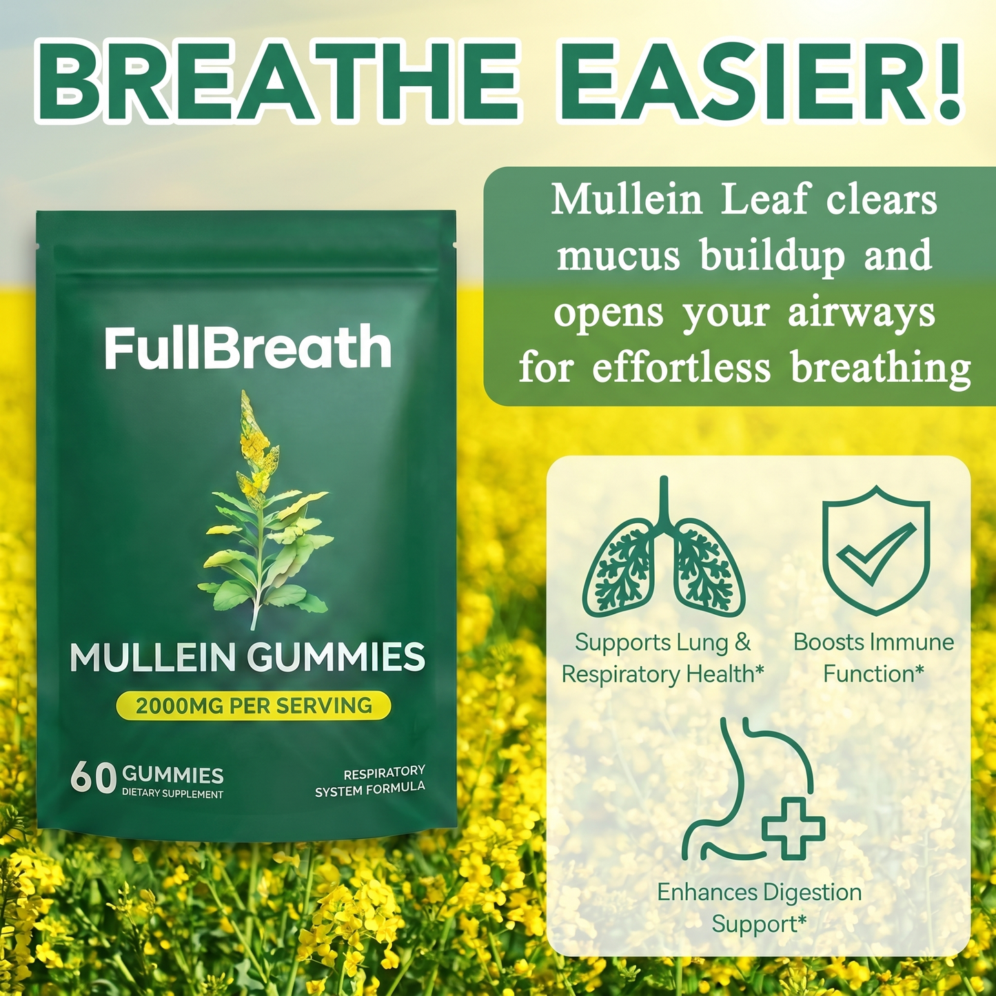 Mullein Gummies: Detox Your Lungs