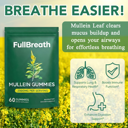 Mullein Gummies: Detox Your Lungs